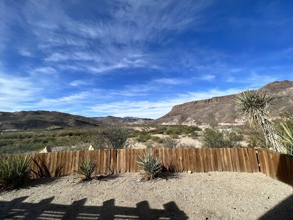 Un patio trasero cercado con vegetación desértica, cielo despejado y montañas distantes.