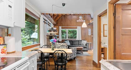 Vintage- Forest retreat fireplace near outdoor fun