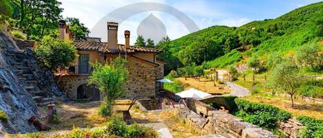 Overnattingsstedets uteområder