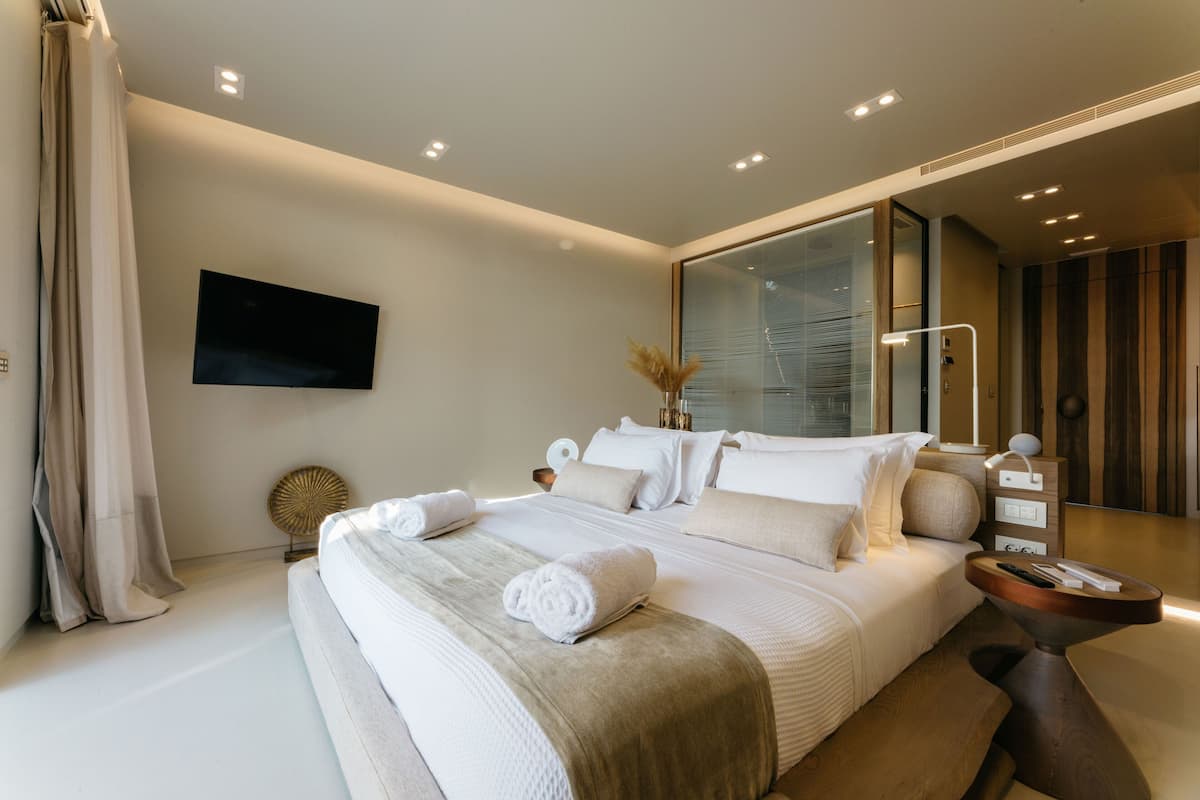 Suite monolocale Deluxe | Minibar, una cassaforte in camera, con arredamento individuale