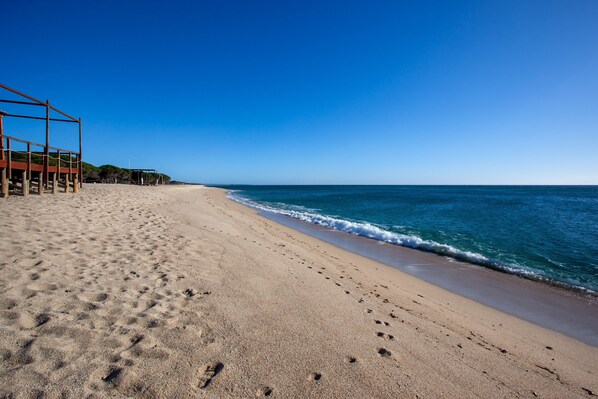 Playa en los alrededores 