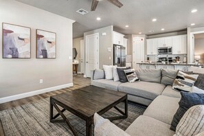 TV, fireplace, video games, ping pong