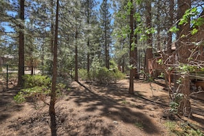 A forested area with a dirt path leading through tall trees, a wooden structure on the right, and a building in the background.