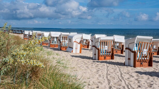 Strandliegen in Reih und Glied aufgestellt, mit Blick aufs Meer.