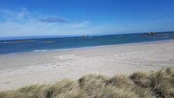 在海灘附近、沙灘巾