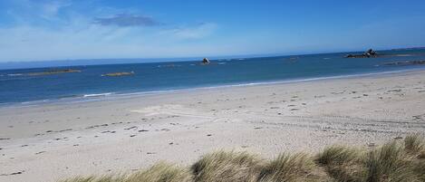 Plage à proximité, serviettes de plage