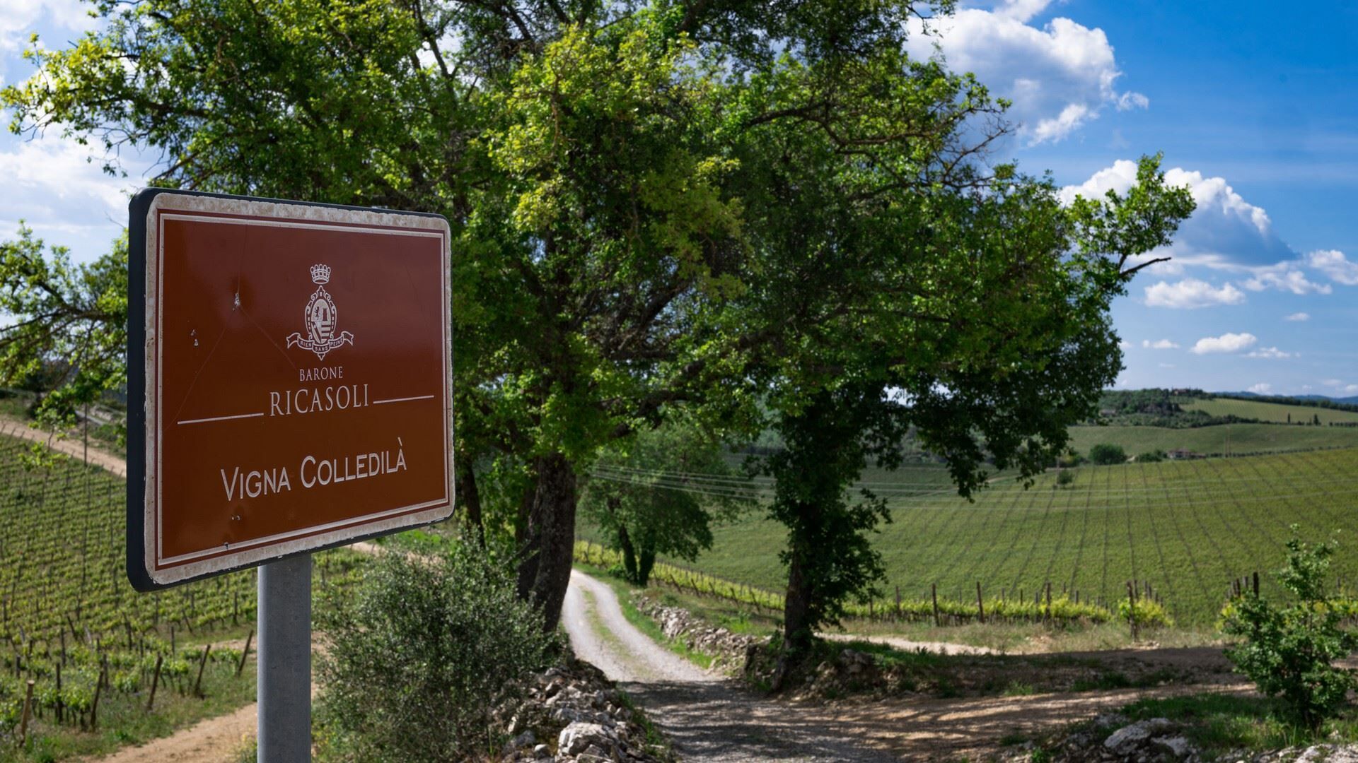 A sign with the text "Barone Ricasoli Vigna Colledìla" in a rural setting with vineyards.
