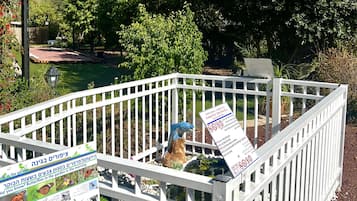 Garden view