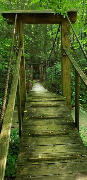 Property grounds - Windrock Hideout Log Cabin Trails 26,27 and 43 (Petros)