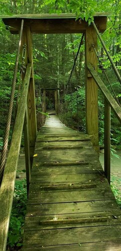 Windrock Hideout Log Cabin Trails 26,27 and 43