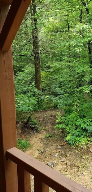 Interior - Windrock Hideout Log Cabin Trails 26,27 and 43 (Petros)