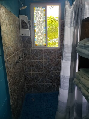 Shower, towels, soap, toilet paper