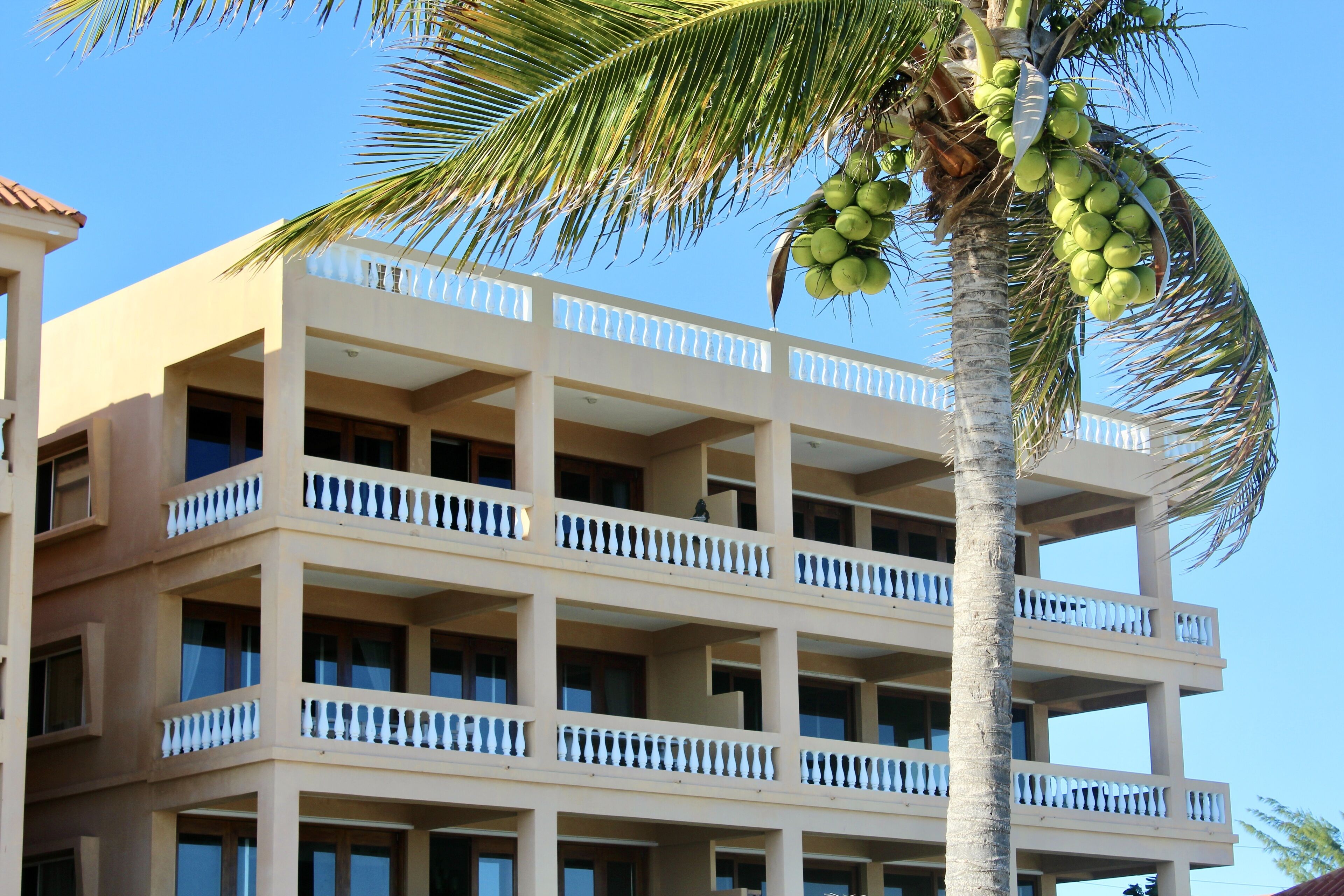 A multi-story hotel with balconies and a palm tree with coconuts.