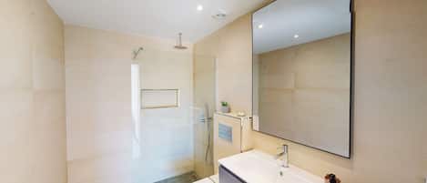 Shower, hair dryer, towels