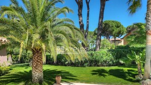 A well-maintained garden with palm trees, a swimming pool, and a stone wall.