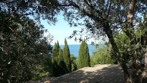 A natural landscape with olive trees and a view of the sea. - Pleasant apartment 2 steps from downtown  (Port-Vendres)