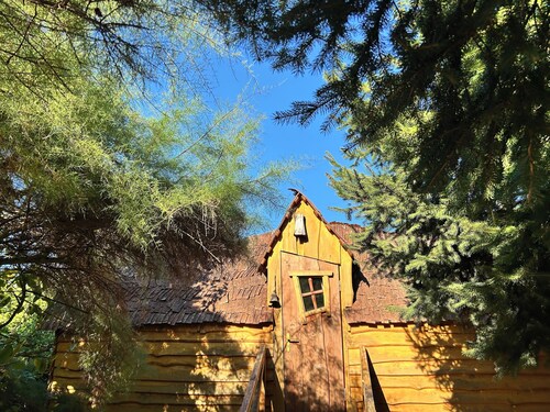 La Cabane Magique Des Fichettes
