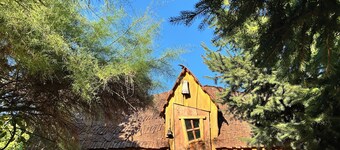 La Cabane Magique Des Fichettes