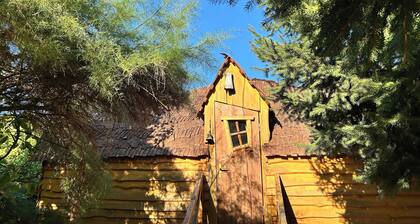 La Cabane Magique Des Fichettes