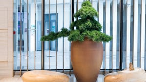 A potted Christmas tree in a modern indoor setting with a glass partition and wooden stools. - Ji Hotel (Shanghai)