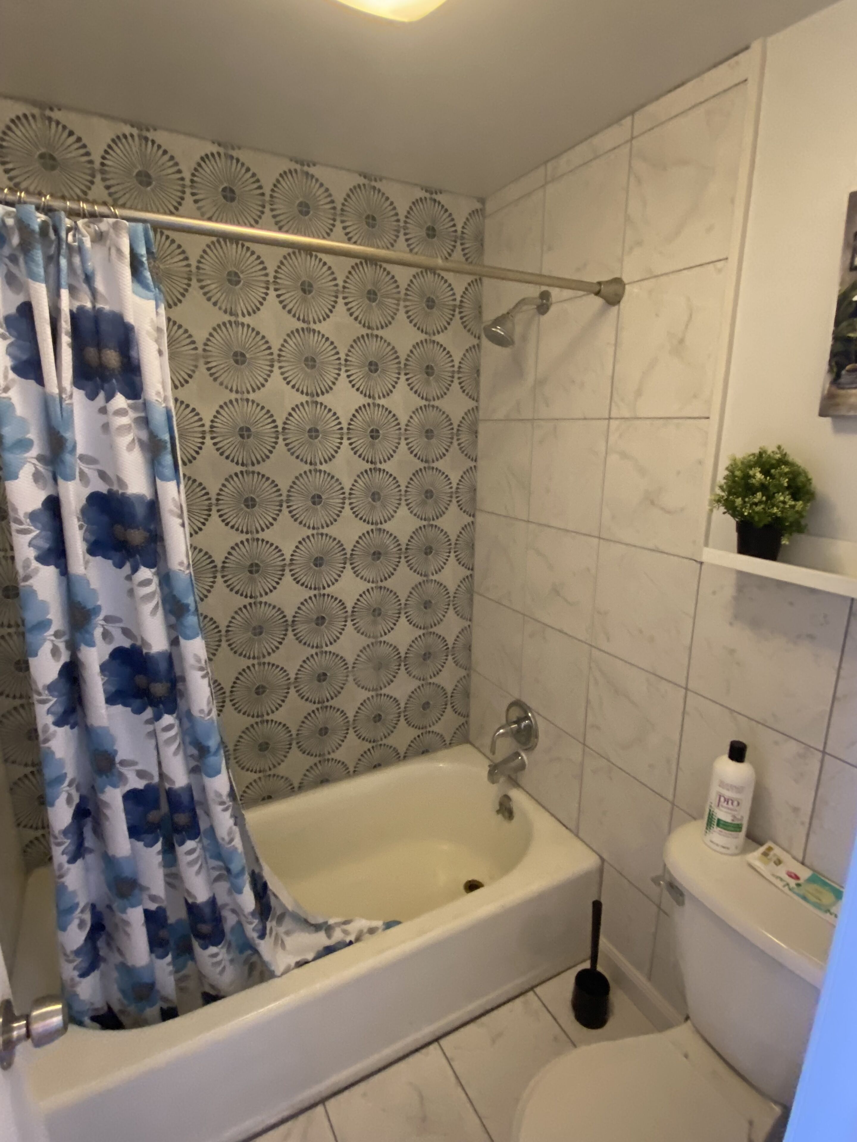 A bathroom with a bathtub, shower curtain, toilet, and a small potted plant on the wall.