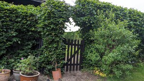 A garden with a wooden fence, potted plants, and a grassy area. - Rustic Log Cabin - Dog Friendly - Sleeps 2 - Views (Shrewsbury)