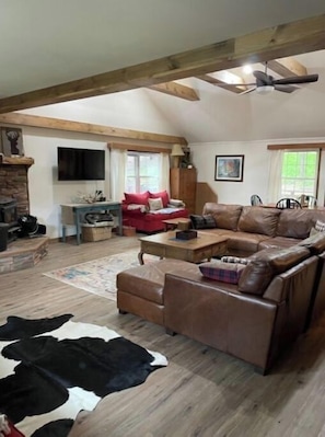 Smart TV, fireplace, books, music library