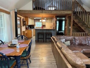 Smart TV, fireplace, books, music library
