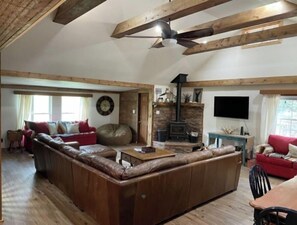 Smart TV, fireplace, books, music library