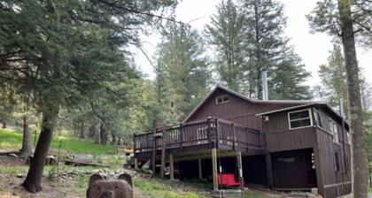 5 Arrows Cabin, quiet and quaint, backs up to the Nat'l forest!
