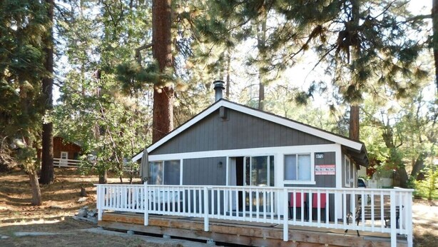 Een chalet met een wit terras en een overdekte veranda, omringd door hoge bomen.