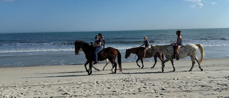Playa en los alrededores, camastros y toallas de playa