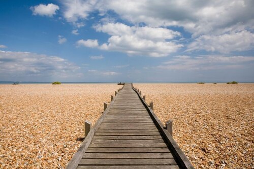 East Cottage by Bloom Stays -  charming cottage in Dungeness