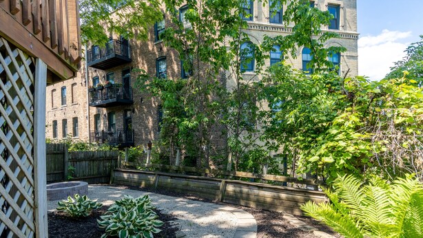 A courtyard with a wooden fence, a gravel path, and a variety of plants.