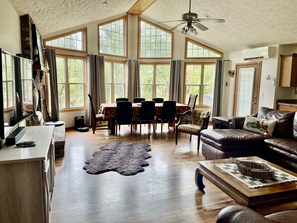 Smart TV, fireplace, books