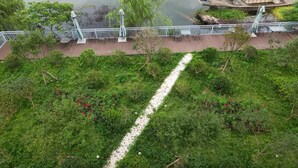 Terraza con asientos al aire libre que da a un lago tranquilo, rodeada de exuberante vegetación y un sendero blanco.