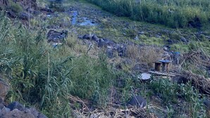 Uklassifisert bilde, 4 av 23, knapp