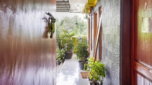 A narrow corridor with potted plants, a textured wall, and a wooden door. - OYO 3509 Pondok Yanti (Ciater)