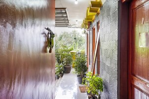 Un pasillo estrecho con plantas en macetas, un muro texturizado y una puerta de madera.