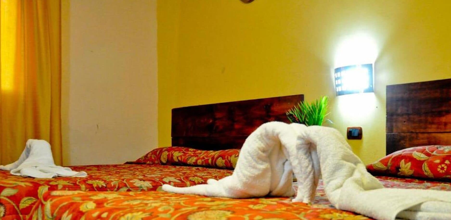 Foto - Hotel Marimba Punta Cana