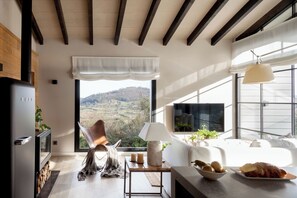 Una Smart TV, una chimenea
