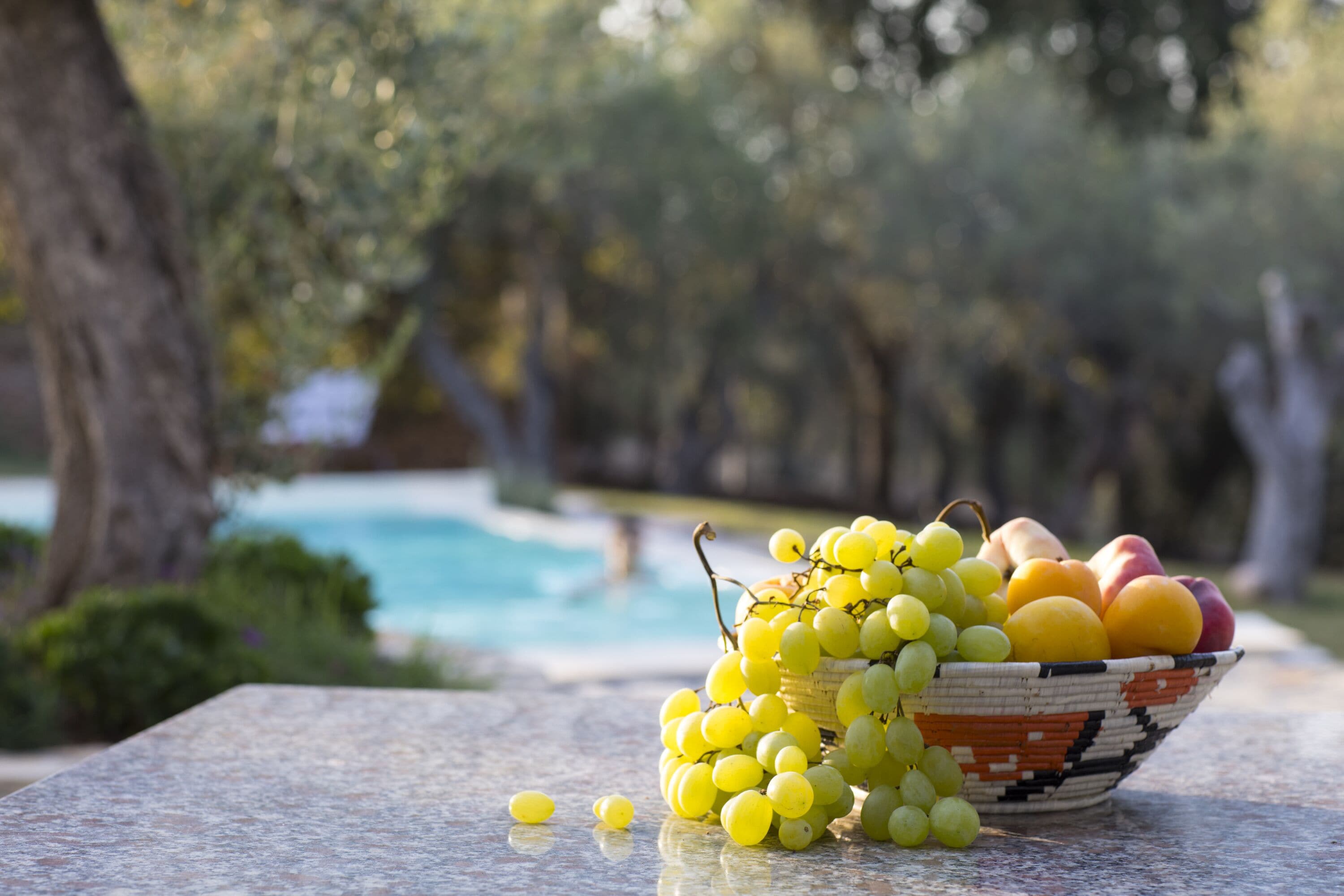 A bowl of fruit on a table with a pool and trees in the background.