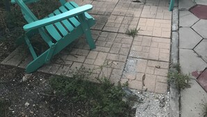 A patio area with two turquoise Adirondack chairs, a white wall, and a small garden with various plants and a tree.