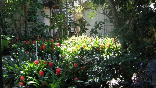 A garden with various plants and flowers, a wooden structure, and a building in the background.