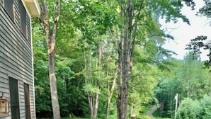 Un terrazza in legno con mobili in vimini e un tavolino, circondata da alberi.