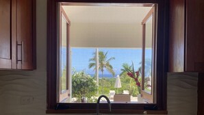 A kitchen with a double sink and a window overlooking a tropical garden.