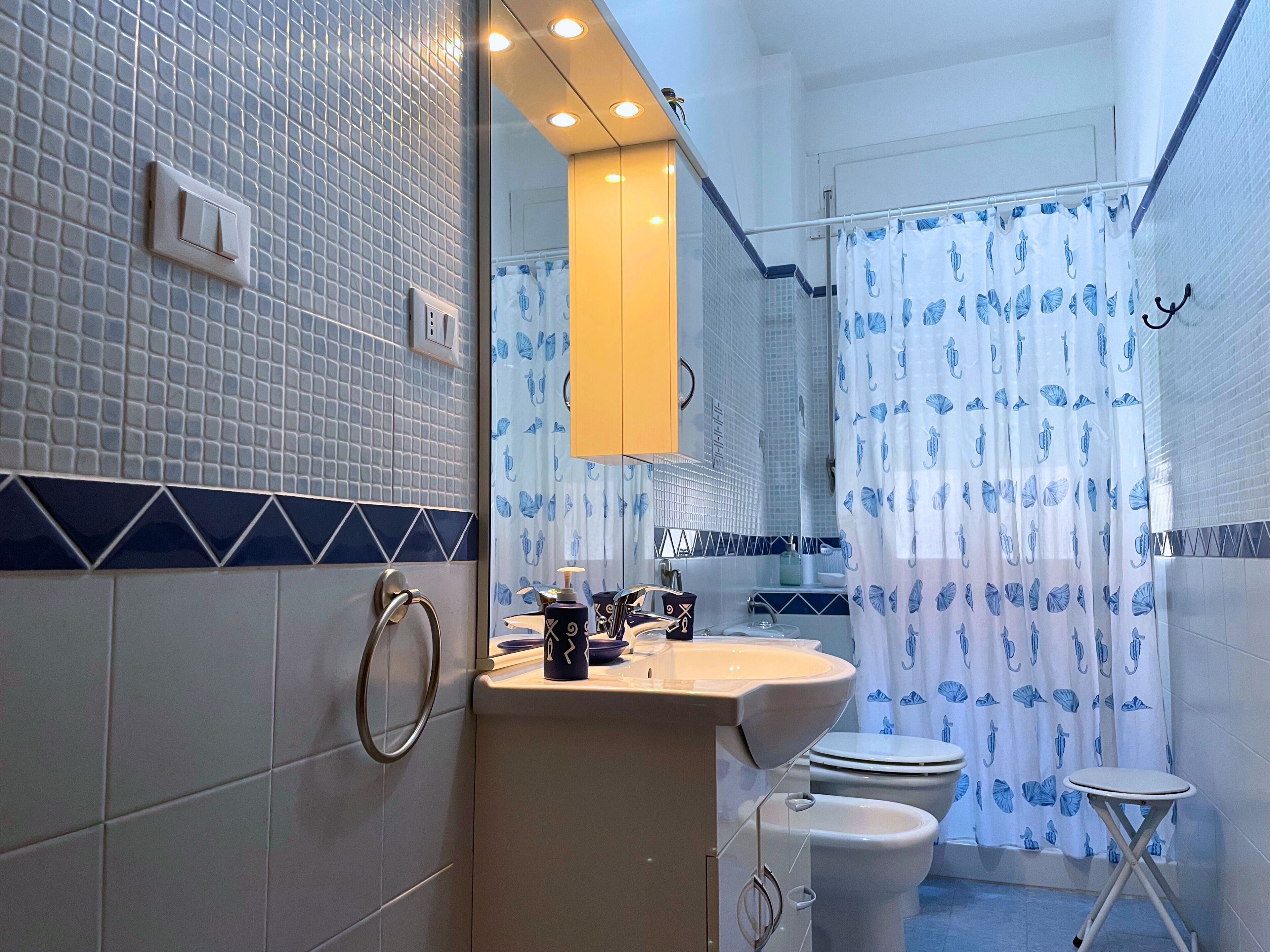 Ducha, secador de pelo, bidet, toallas