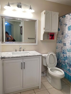 Combined shower/bathtub, hair dryer, bidet, towels
