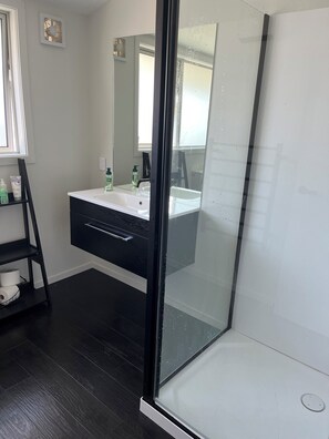 Shower, hair dryer, toilet paper