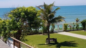 A view of a coastal property with a palm tree, a bench, and a pathway leading to a glass door entrance.